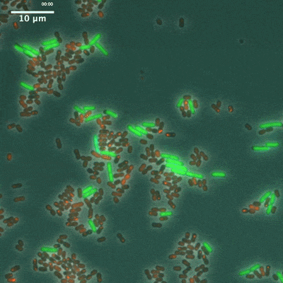 New preprint out!